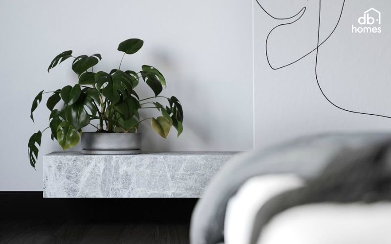 Trầu bà dễ chăm sóc và có nhiều ảnh hưởng về mặt phong thủy