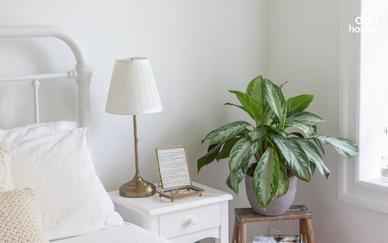 DBHOMES luôn đề cao xu hướng xanh trong thiết kế phòng ngủ