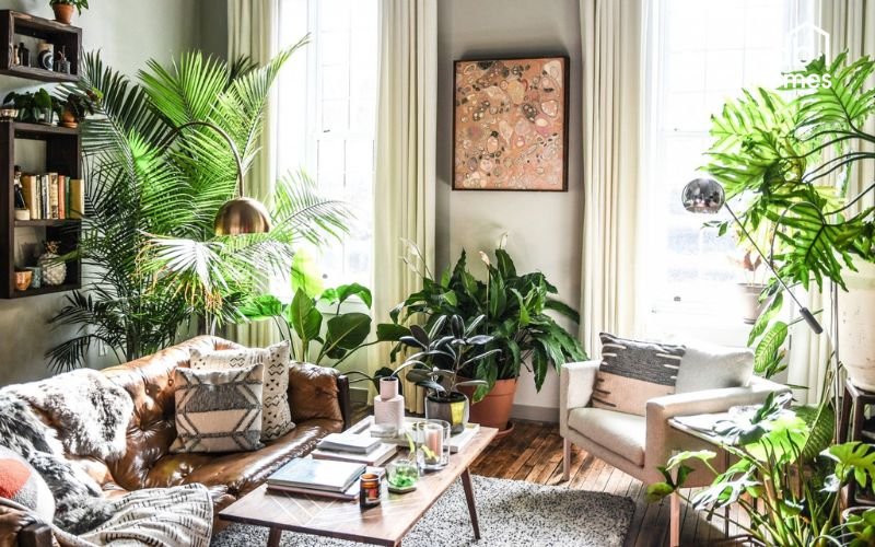 Đưa cây xanh vào không gian sống giúp thanh lọc không khí mà còn tạo cảm giác thư giãn, gần gũi với thiên nhiên